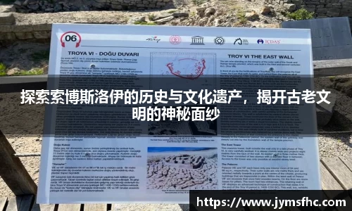 彩神VI首页